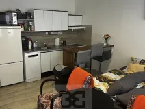 Pronájem bytu 1+kk, Plzeň, Toužimská, 32 m2