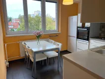 Pronájem bytu 3+1, Frýdek-Místek, Horymírova, 79 m2