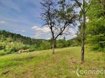 Prodej pozemku, Český Šternberk, 2000 m2