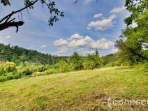 Prodej pozemku, Český Šternberk, 2000 m2