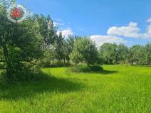 Prodej zahrady, Veselí nad Moravou - Milokošť, V Dědině, 2999 m2