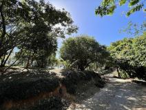 Prodej pozemku, Coxen Hole, Roatán, Honduras, 2400 m2