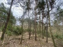 Prodej lesa, Miloňovice - Sudkovice, 2768 m2