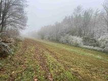 Prodej pozemku, Stará Paka, 1210 m2