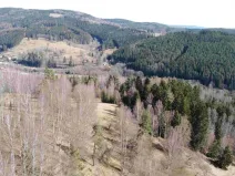 Dražba louky, Kraslice, 3869 m2