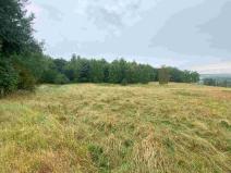 Prodej pole, Nové Sedlo - Loučky, 49321 m2