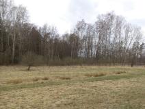 Prodej pozemku, Chlum u Třeboně - Lutová, 6727 m2