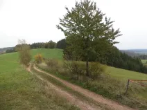 Dražba pozemku, Lázně Bělohrad, 2376 m2