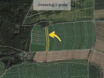 Prodej pole, Merklín, 3592 m2