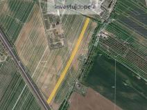 Prodej pole, Kostice, 8251 m2