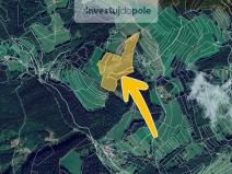Prodej lesa, Valašská Senice, 54930 m2
