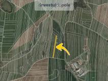 Prodej pole, Ostrov u Macochy, 3708 m2