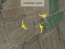 Prodej pole, Vřeskovice, 3050 m2