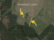 Prodej louky, Kladruby nad Labem - Kolesa, 2604 m2