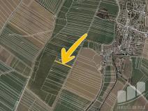 Prodej pole, Pačlavice - Pornice, 1660 m2
