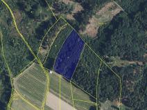 Prodej lesa, Hořice, 11250 m2