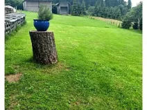 Prodej chaty, Janské Lázně, Janská, 48 m2