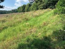 Prodej pozemku pro bydlení, Opava, Přerovec, 5417 m2