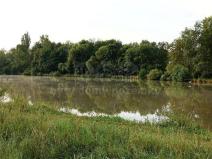 Prodej zahrady, Hoštka, 1330 m2