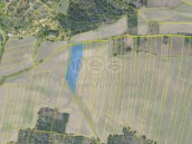 Prodej pole, Veletov, 12454 m2