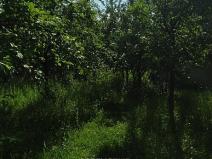 Prodej pozemku, Brumovice, 500 m2