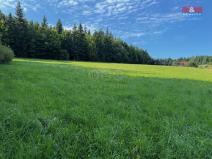 Prodej louky, Kořenov - Rejdice, 7880 m2