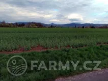 Prodej podílu pole, Úštěk, 68335 m2