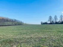 Prodej pozemku pro bydlení, Oskava, 3293 m2