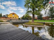 Pronájem obchodního prostoru, Plzeň - Východní Předměstí, sady 5. května, 330 m2