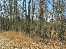 Prodej lesa, Rodná, 1517 m2