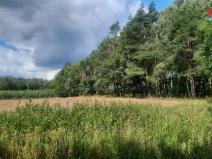 Prodej lesa, Březovice, 108447 m2