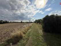 Prodej zahrady, Husinec, Na Kazatelně, 1198 m2
