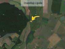 Prodej louky, Smidary, 911 m2