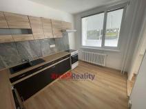 Pronájem bytu 3+1, Bílina - Pražské Předměstí, Alšova, 56 m2
