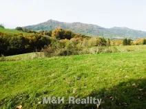 Prodej louky, Čeladná, 13031 m2