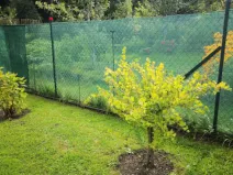 Prodej zahrady, Jihlava, 750 m2