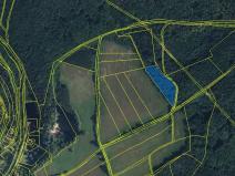Prodej lesa, Lázně Bělohrad, 17730 m2