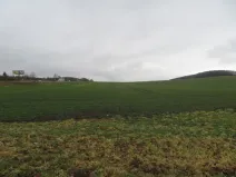 Dražba pole, Kuřim, 346 m2