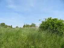 Dražba pole, Klobouky u Brna, 1664 m2