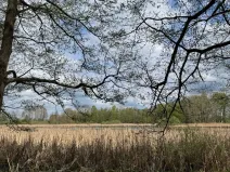 Prodej podílu pozemku, Stříbřec, 5449 m2