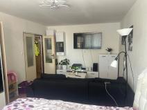 Pronájem bytu 1+1, Plzeň, Manětínská, 40 m2