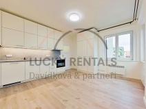 Pronájem bytu 1+kk, Praha - Podolí, Levá, 27 m2