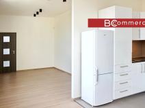 Pronájem bytu 2+kk, Brno, Křenová, 54 m2