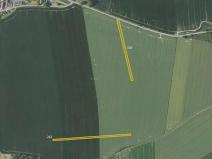 Prodej pole, Trhový Štěpánov, 2811 m2