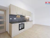 Pronájem bytu 1+kk, Plzeň - Jižní Předměstí, Americká, 55 m2