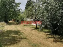 Prodej chaty, Dobřany, 54 m2