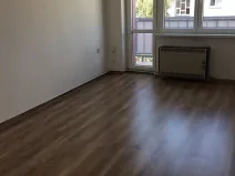 Pronájem bytu 2+1, Teplice, Štúrova, 54 m2