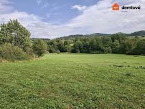 Pronájem louky, Vendryně, 8169 m2