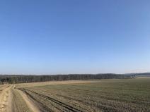 Dražba lesa, Bechlín, 2731 m2