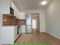 Pronájem bytu 1+1, Praha - Vinohrady, Písecká, 52 m2